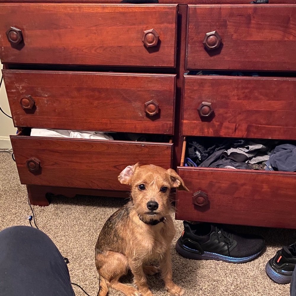 Meet your Posher, Aaron